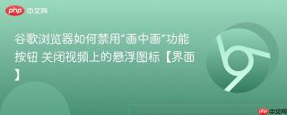 谷歌浏览器如何禁用“画中画”功能按钮 关闭视频上的悬浮图标【界面】