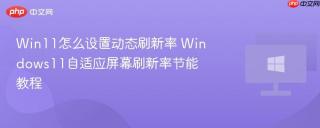 Win11怎么设置动态刷新率 Windows11自适应屏幕刷新率节能教程