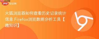 火狐浏览器如何查看历史记录统计信息 Firefox浏览数据分析工具【趣知识】