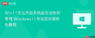 Win11怎么开启系统级自动色彩管理 Windows11专业显示器校色教程