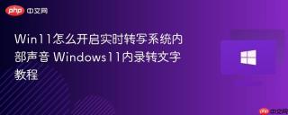 Win11怎么开启实时转写系统内部声音 Windows11内录转文字教程