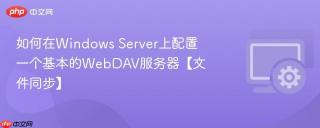 如何在Windows Server上配置一个基本的WebDAV服务器【文件同步】