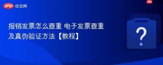 报销发票怎么查重 电子发票查重及真伪验证方法【教程】