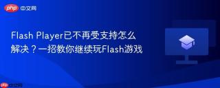 Flash Player已不再受支持怎么解决？一招教你继续玩Flash游戏