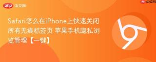 Safari怎么在iPhone上快速关闭所有无痕标签页 苹果手机隐私浏览管理【一键】