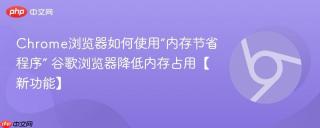 Chrome浏览器如何使用“内存节省程序” 谷歌浏览器降低内存占用【新功能】