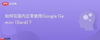 如何在国内正常使用Google Gemini (Bard)？
