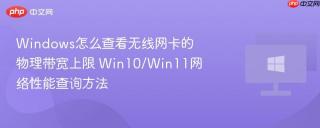 Windows怎么查看无线网卡的物理带宽上限 Win10/Win11网络性能查询方法