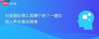 AI音频处理工具哪个好？一键实现人声分离与降噪