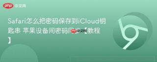 Safari怎么把密码保存到iCloud钥匙串 苹果设备间密码同步【教程】