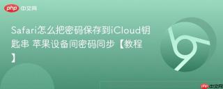 safari怎么把密码保存到icloud钥匙串 苹果设备间密码同步【教程】