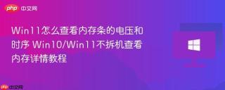 Win11怎么查看内存条的电压和时序 Win10/Win11不拆机查看内存详情教程