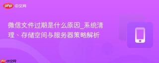 微信文件过期是什么原因_系统清理、存储空间与服务器策略解析