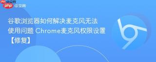 谷歌浏览器如何解决麦克风无法使用问题 Chrome麦克风权限设置【修复】