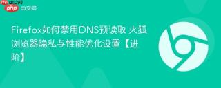 Firefox如何禁用DNS预读取 火狐浏览器隐私与性能优化设置【进阶】