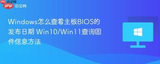 Windows怎么查看主板BIOS的发布日期 Win10/Win11查询固件信息方法