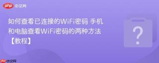 如何查看已连接的WiFi密码 手机和电脑查看WiFi密码的两种方法【教程】
