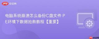 电脑系统崩溃怎么备份C盘文件 PE环境下数据抢救教程【重要】
