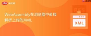 webassembly在浏览器中直接解析上传的xml