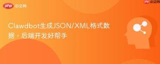 clawdbot生成json/xml格式数据,后端开发好帮手