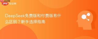 DeepSeek免费版和付费版有什么区别？新手选择指南