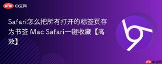 Safari怎么把所有打开的标签页存为书签 Mac Safari一键收藏【高效】