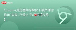 chrome浏览器如何解决下载文件时显示“失败-已禁止”的问题【权限】