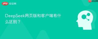 DeepSeek网页版和客户端有什么区别？