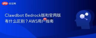 Clawdbot Bedrock版和官网版有什么区别？AWS用户指南