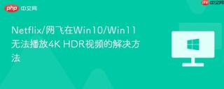 Netflix/网飞在Win10/Win11无法播放4K HDR视频的解决方法