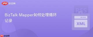BizTalk Mapper如何处理循环记录