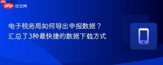 电子税务局如何导出申报数据？汇总了3种最快捷的数据下载方式