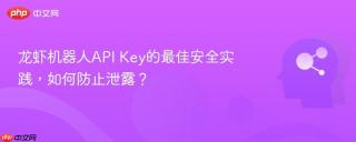 龙虾机器人API Key的最佳安全实践，如何防止泄露？