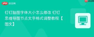 钉钉脑图字体大小怎么修改 钉钉思维导图节点文字格式调整教程【图文】