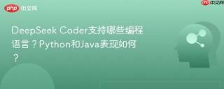 DeepSeek Coder支持哪些编程语言？Python和Java表现如何？