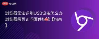 浏览器无法识别USB设备怎么办 浏览器网页访问硬件权限【指南】