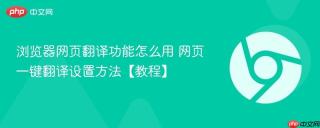 浏览器网页翻译功能怎么用 网页一键翻译设置方法【教程】