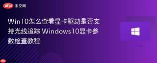 Win10怎么查看显卡驱动是否支持光线追踪 Windows10显卡参数检查教程