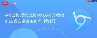 手机浏览器怎么修改ua标识 模拟ipad或安卓设备访问【教程】