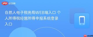 自然人电子税务局WEB端入口 个人所得税经营所得申报系统登录入口