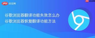 谷歌浏览器翻译功能失效怎么办 谷歌浏览器恢复翻译功能方法