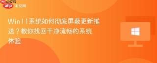 Win11系统如何彻底屏蔽更新推送？教你找回干净流畅的系统体验