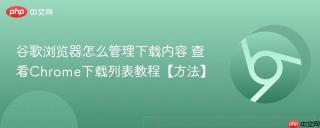 谷歌浏览器怎么管理下载内容 查看Chrome下载列表教程【方法】