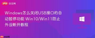 Windows怎么关闭USB接口的自动暂停功能 Win10/Win11防止外设断开教程