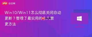 win10/win11怎么彻底关闭自动更新?整理了最实用的永久禁更方法