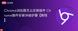 Chrome浏览器怎么安装插件 Chrome插件安装详细步骤【教程】