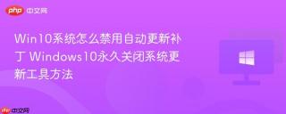 Win10系统怎么禁用自动更新补丁 Windows10永久关闭系统更新工具方法