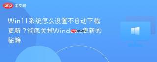 win11系统怎么设置不自动下载更新?彻底关掉windows更新的秘籍