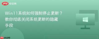 Win11系统如何强制停止更新？教你彻底关闭系统更新的隐藏手段
