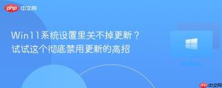 Win11系统设置里关不掉更新？试试这个彻底禁用更新的高招